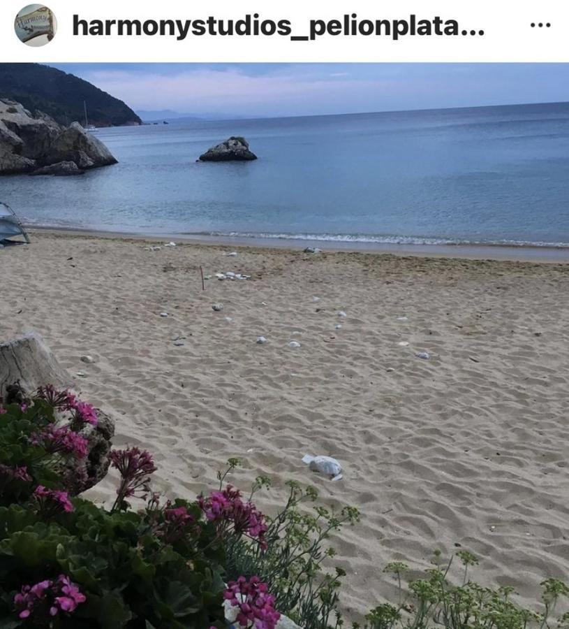 Apartmán Harmony Seaside Pelion Platanias  Exteriér fotografie